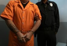 fraud investigation defense team